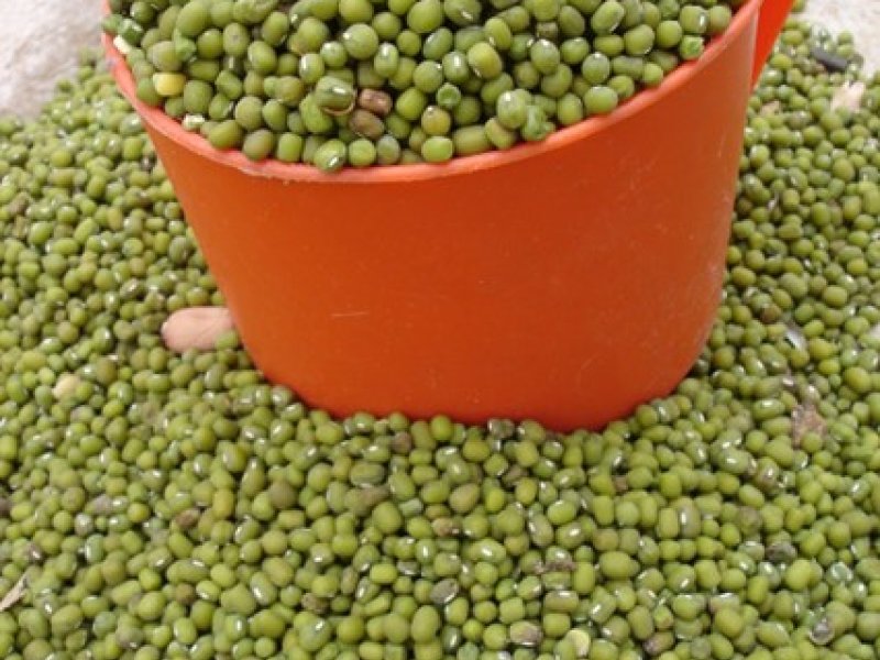 Neemalk Green Grams_Nylon Ndengu