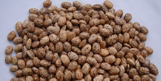 Neemalk Mwitemani Beans