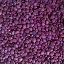 Neemalk red cowpeas _Kunde Red