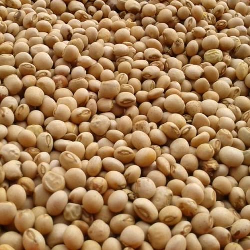 Neemalk pigeon peas _Mbaazi