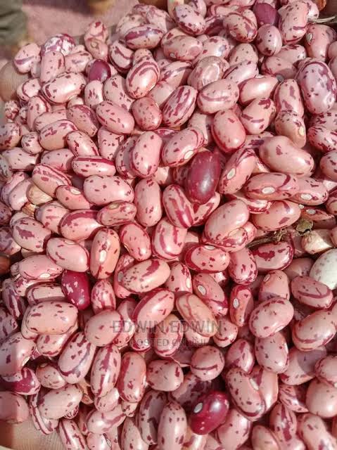 Neemalk Rose coco Beans