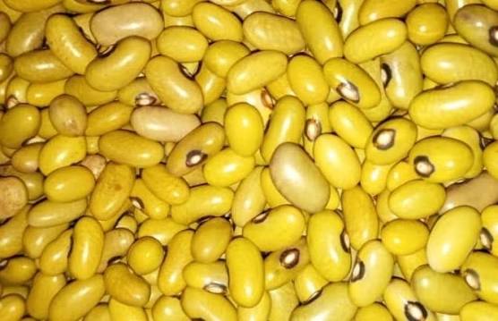 Neemalk Yellow Beans